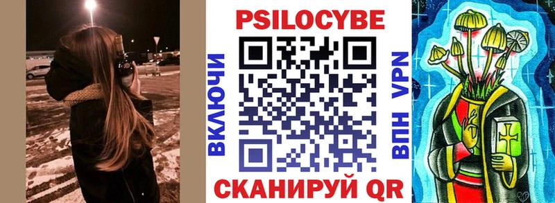 Псилоцибиновые грибы мицелий  Купино 